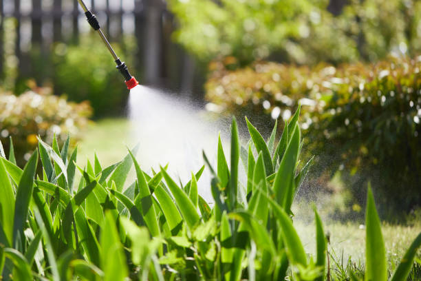 Tamper-Resistant Bait Stations for Rodents in Tsaile