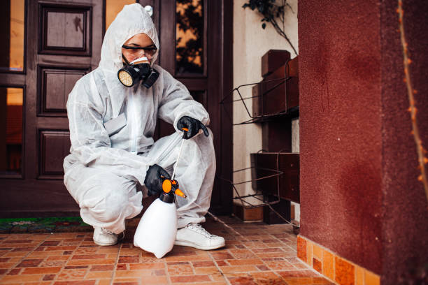 Attic and Crawl Space Rodent Treatment in Tsaile