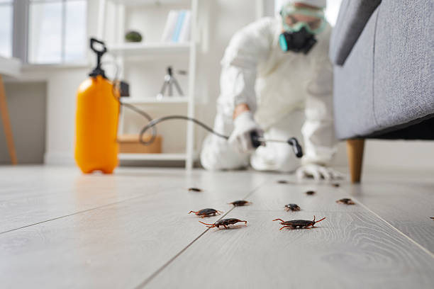 Commercial Rodent Management in Tsaile